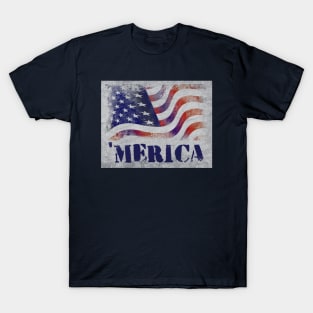 America grunge T-Shirt